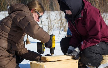 Two researchers preparing a nest box.